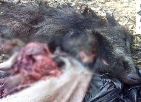 Харьков содрогнулся от ужасной находки (ФОТО)