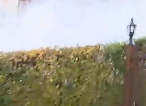 Свидетели сняли падение дома от землетрясения (ВИДЕО)