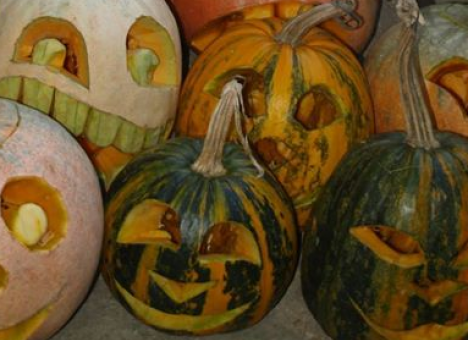 Массовый обряд «экзорцизма» проходит в резиденции Януковича (ФОТО)