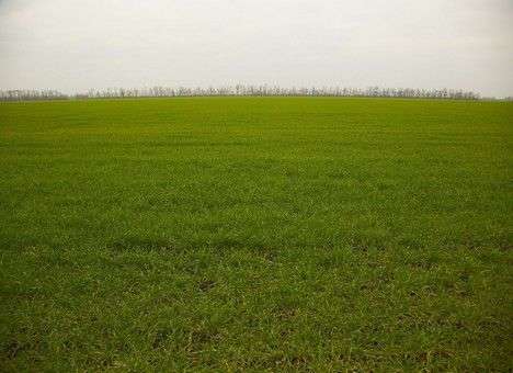 Экологическая катастрофа на Донбассе: Озвучено количество возможных жертв