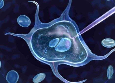 Ученые нащупали ключ к бессмертию