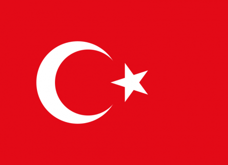 Известно имя второго вдохновителя турецких путчистов