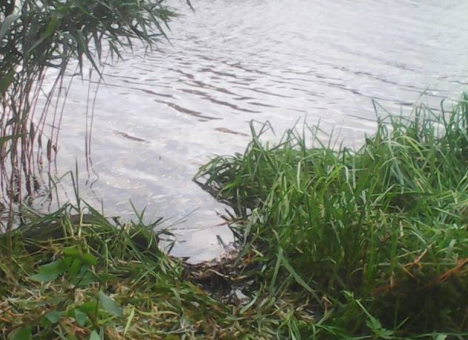 В Киеве в реке обнаружили жуткую находку