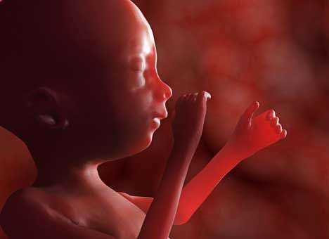 В Польше женщинам хотят платить за детей от насильников