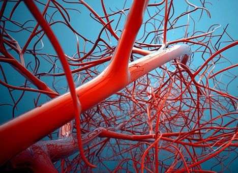 Hitachi идентифицирует владельцев смартфонов по венам