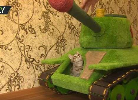 Армию возглавит Куклачев: Россиянин сделал танк для кота (ВИДЕО)