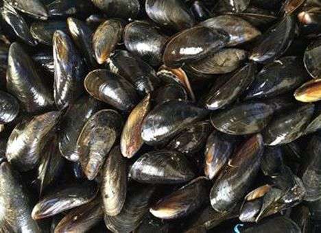 В столичных магазинах выявили 42 «Ровшана и Джамшута»