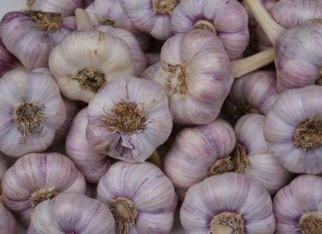 Назван продукт, который повышает мужскую привлекательность