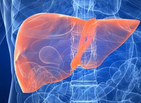 Специалисты назвали лучшие продукты для детоксикации печени и ее здоровья