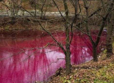 В Сумах цвет озера напугал горожан