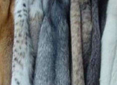 На таможне изъяли шуб почти на миллион гривен