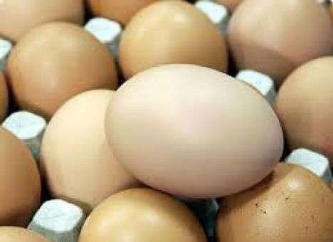 Яйца становятся золотыми