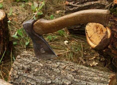 Министр Кутовой поощряет дерибан