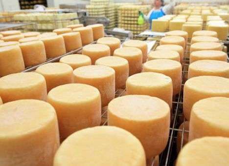 Экспорт украинских сыров сократился