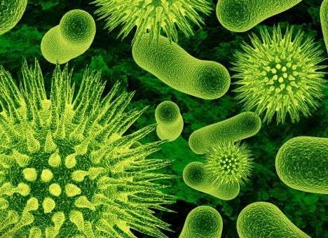 Обнаружен вирус, делающий людей глупыми