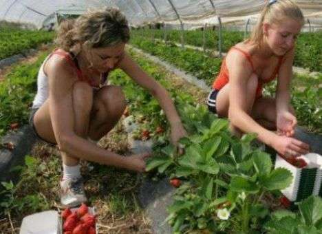 Перекрыт канал незаконной миграции украинцев