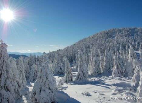 Ночной буран оставил без света часть Украины