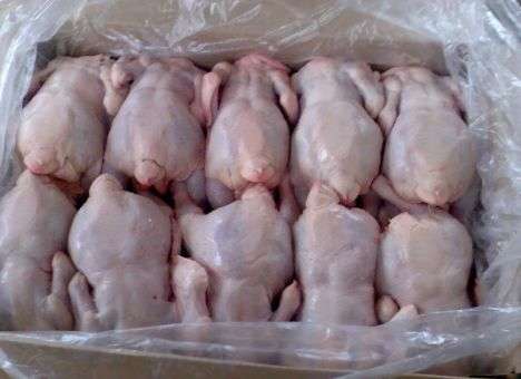 Украина запретила ввоз птицы из Венгрии и Болгарии