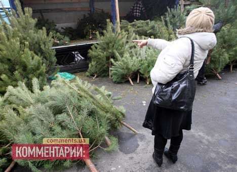 Полиция возьмет елки под охрану