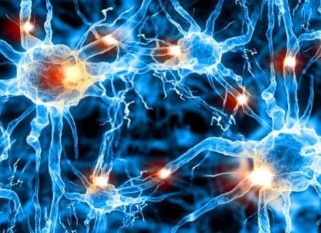 Найдено средство для восстановления нервных клеток