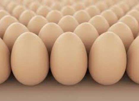 Яйца подешевели на 7,7%