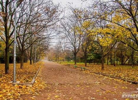 Южный ветер принесет в Украину тепло