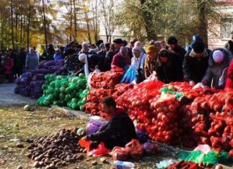 В Кабмине объяснили необходимость торговли с ЛДНР