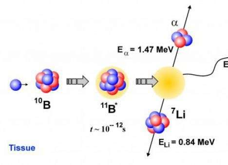 Ученые нашли «ловкого помощника» в борьбе с раком