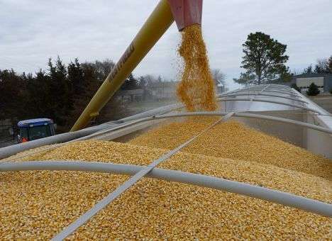 Экспорт в страны ЕС вырос почти на 5%