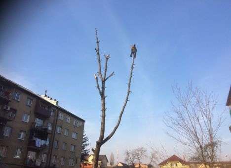 На Закарпатье спасатели сняли 49-летнего мужчину с 15-метрового дерева