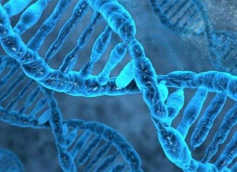 Ученые рассказали, как выбор спутника жизни, влияет на уровень доходов и достижений