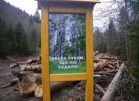 Губернатор Закарпатья призывает не «продавать за копейки Карпаты»