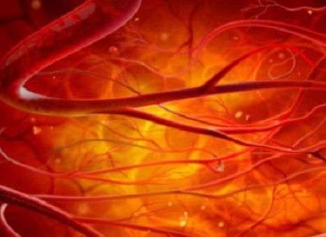 Специалисты научились выращивать кровеносные сосуды