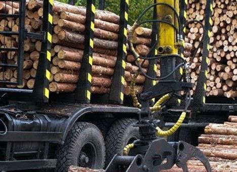 Лес в обмен на транш