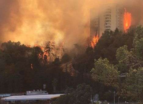 Украинцы не пострадали в пожаре в Хайфе