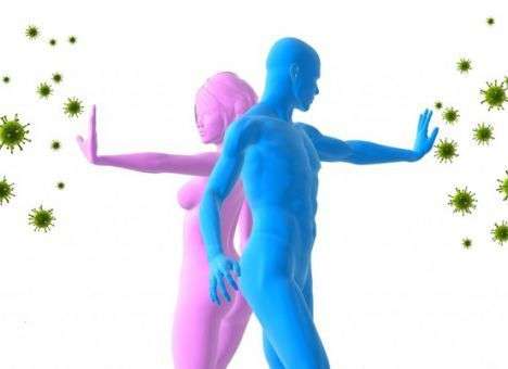 Медики выяснили, как социальный статус влияет на иммунитет