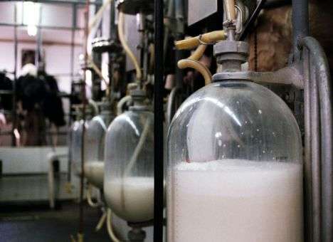 Украинцы оплатят модернизацию мощностей по выпуску продуктов питания