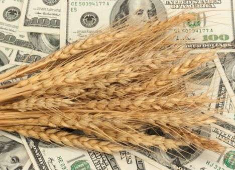 Китайцы хотят открыть в Украине аграрную биржу