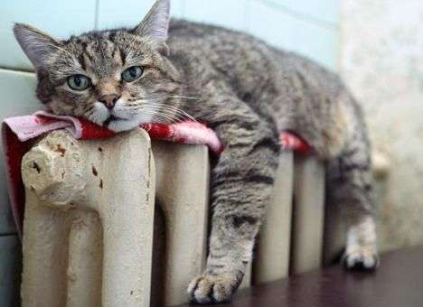 Теплокоммунэнерго саботирует установку счетчиков