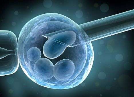 Первое фото ребенка, можно будет сделать в момент зачатия