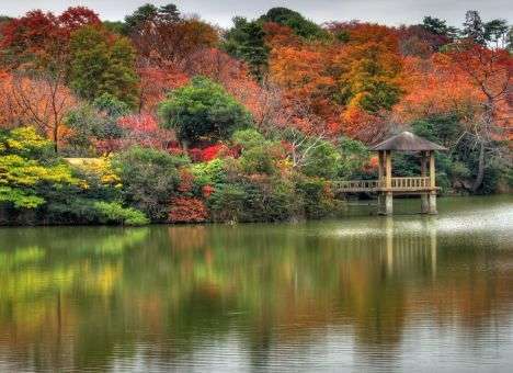 В Индии может появиться река вдвое длиннее египетского Нила