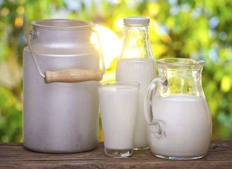 Назван продукт, замедляющий старение и полезный для работы мозга