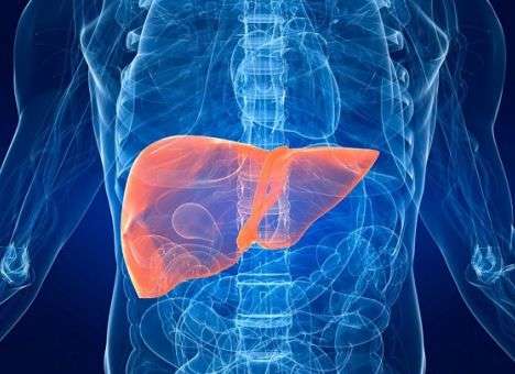 Названы 5 факторов провоцирующих болезни печени