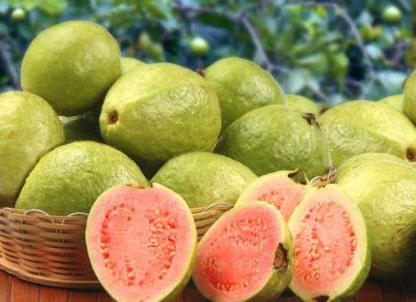 Ученые назвали самый полезный фрукт