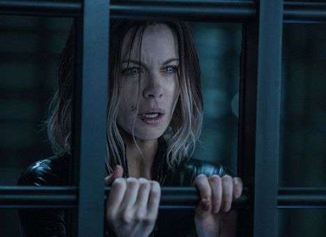 Фильм недели. Войны крови