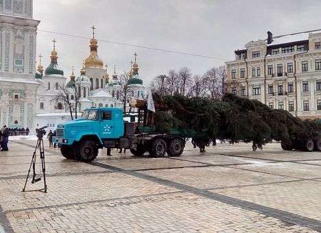 В Киев привезли главную елку страны