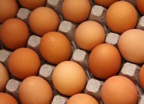 Яйца в Украине буду дешеветь