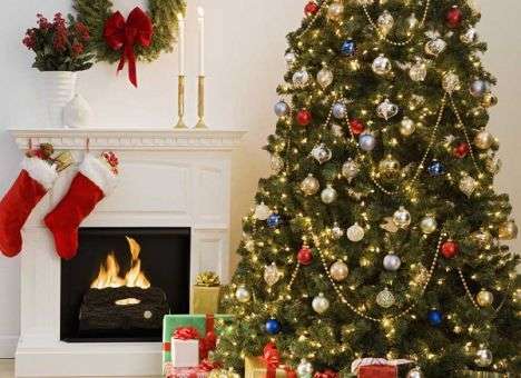 Специалисты рассказали, как выбрать новогоднюю елку