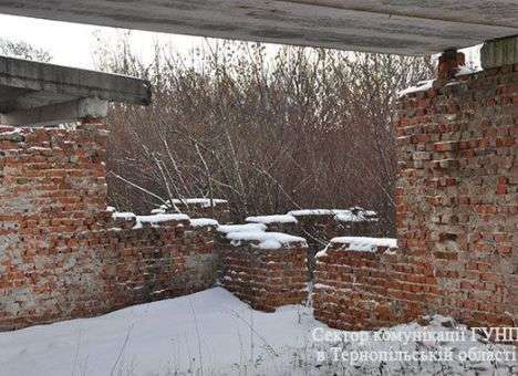 Две школьницы повесились из-за неразделенной любви на Тернопольщине