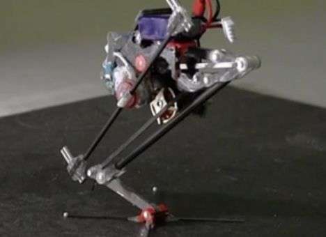 В США создали робота-паркурщика